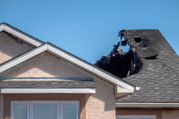 Top rated local Firefighting Water Removal specialists in Mount Rainier, MD